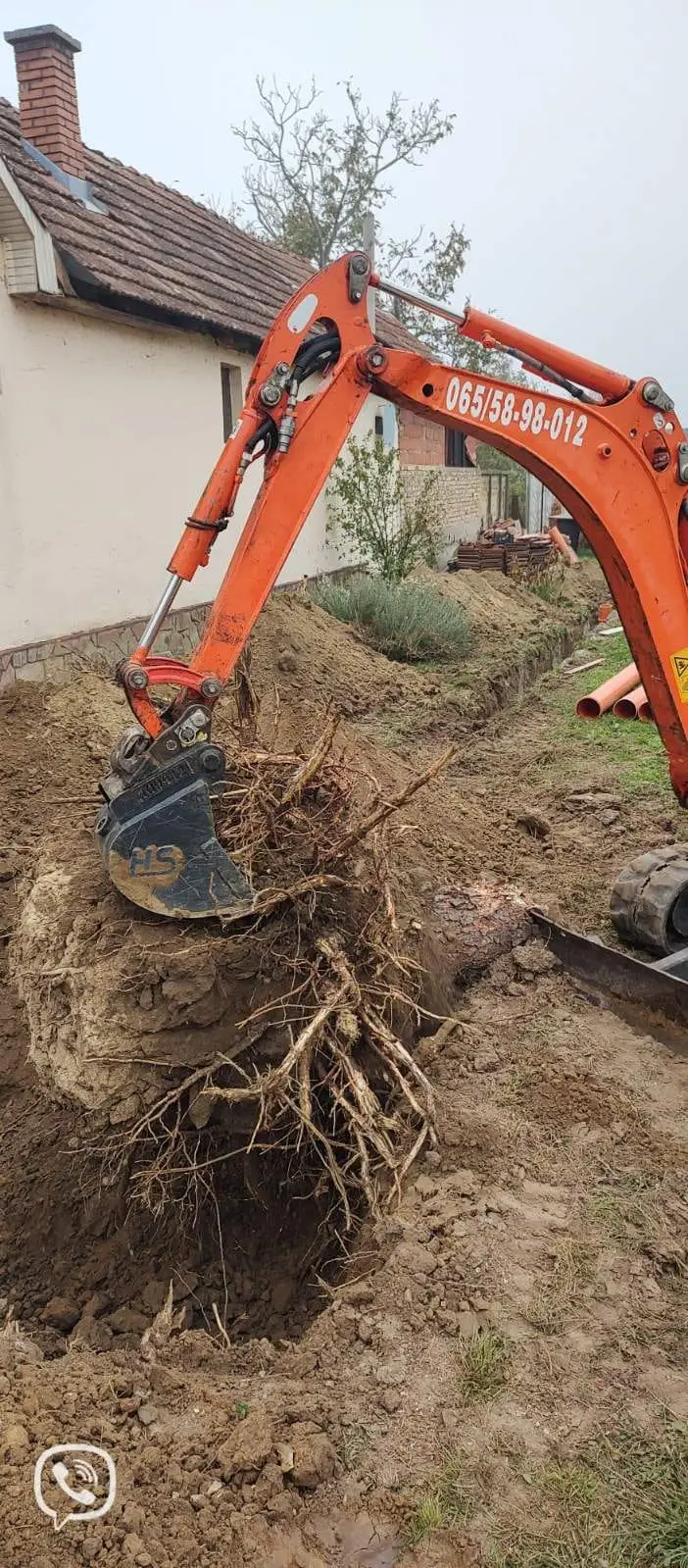 Kašika mini bagera vadi panj sa žilama iz zemlje uz kuću
